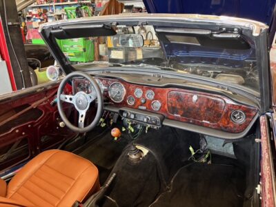 IMG_7329(1) IMG_7329(1)