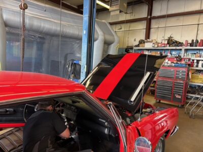 IMG_7333(1) IMG_7333(1)